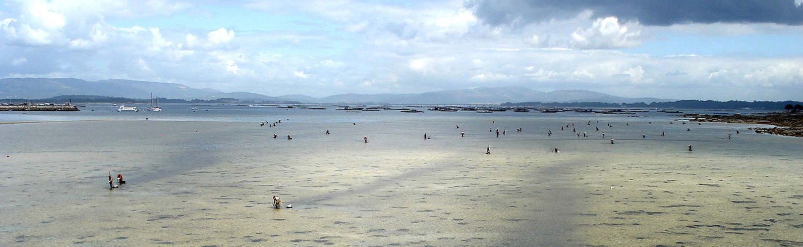 Women fishers on a beach in Isla de la Toja, Spain